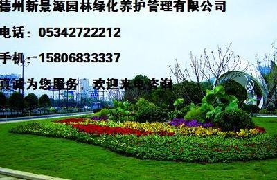 德州新景源園林 綠化養(yǎng)護(hù)管理性價(jià)比之選