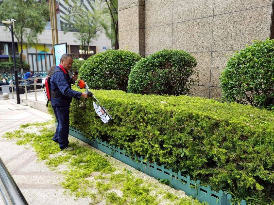 綠化修剪作業(yè) 園林維護(hù)的重要環(huán)節(jié)