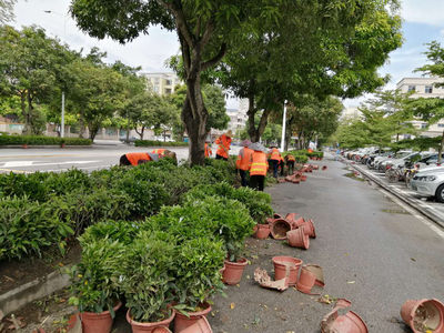 市城管綜合執(zhí)法局多措并舉加強(qiáng)園林綠化管理