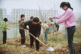 植樹綠化，重在管理——論綠化管理的核心價(jià)值與實(shí)踐路徑