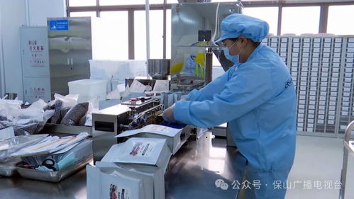 隆陽區 厚植創新驅動沃土，信息技術咨詢服務企業展現蓬勃生機