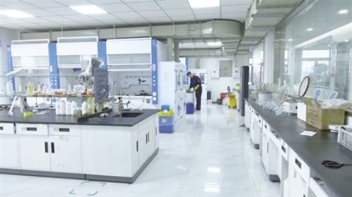 玉門以科技創新驅動產業創新，信息技術咨詢服務助推企業轉型