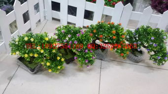 廣州仿真植物盆景批發(fā) 家居裝飾與禮品花卉的性價(jià)比之選